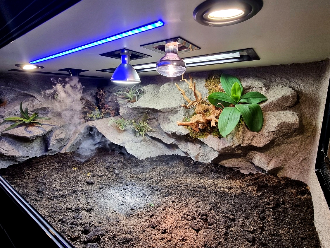 326309516_2992163834412737_3430490784371936137_n